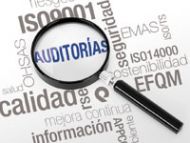 INSTRUCTIVO PARA REALIZAR AUDITORIAS INTERNAS